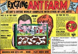 Uncle Milton's Ant Farm Advert
